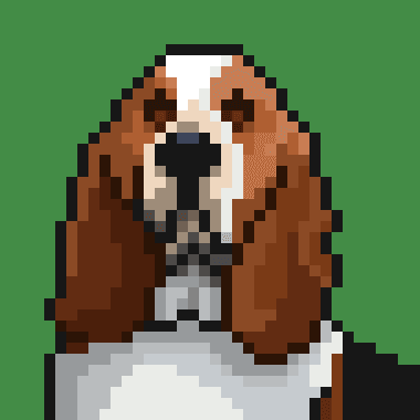 0xbasset